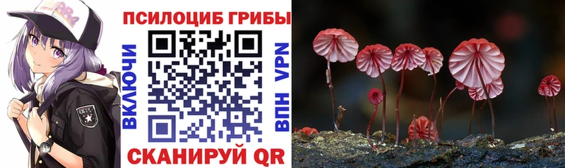 Галлюциногенные грибы Cubensis  это как зайти  Саяногорск  ОМГ ОМГ как войти 